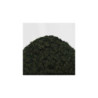 Cesped Electrostatico 4-6mm - DARK GREEN MARSH - 200ml