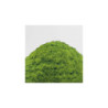 Cesped Electrostatico 2-3mm - SPRING GRASS - 200ml