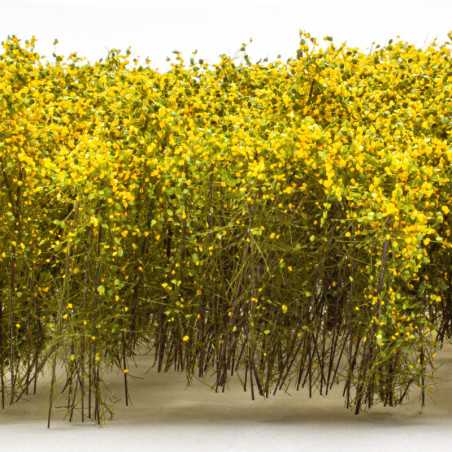 Arbustos Altos - Amarillo Verde