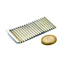 Corrugator