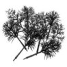 Arboles maquetas 120mm
