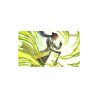 Riftbound: Unleashed Playmat: Master Yi Wuju Master