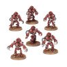 Ursarax Cohort