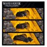 Land Raider Explorator/Carrier