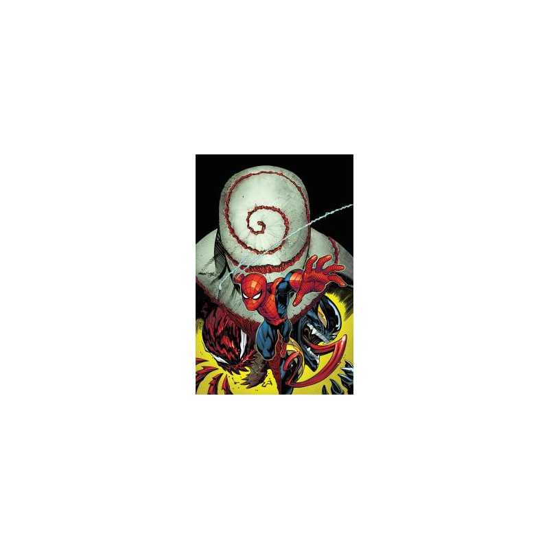El Asombroso Spiderman 08