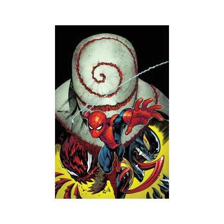 El Asombroso Spiderman 08