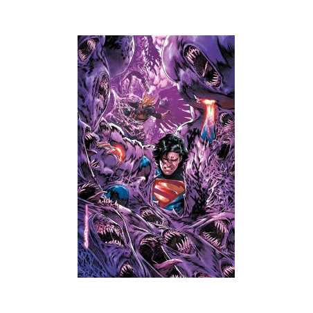 Absolute Superman 17
