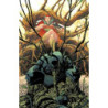 Absolute Batman 17