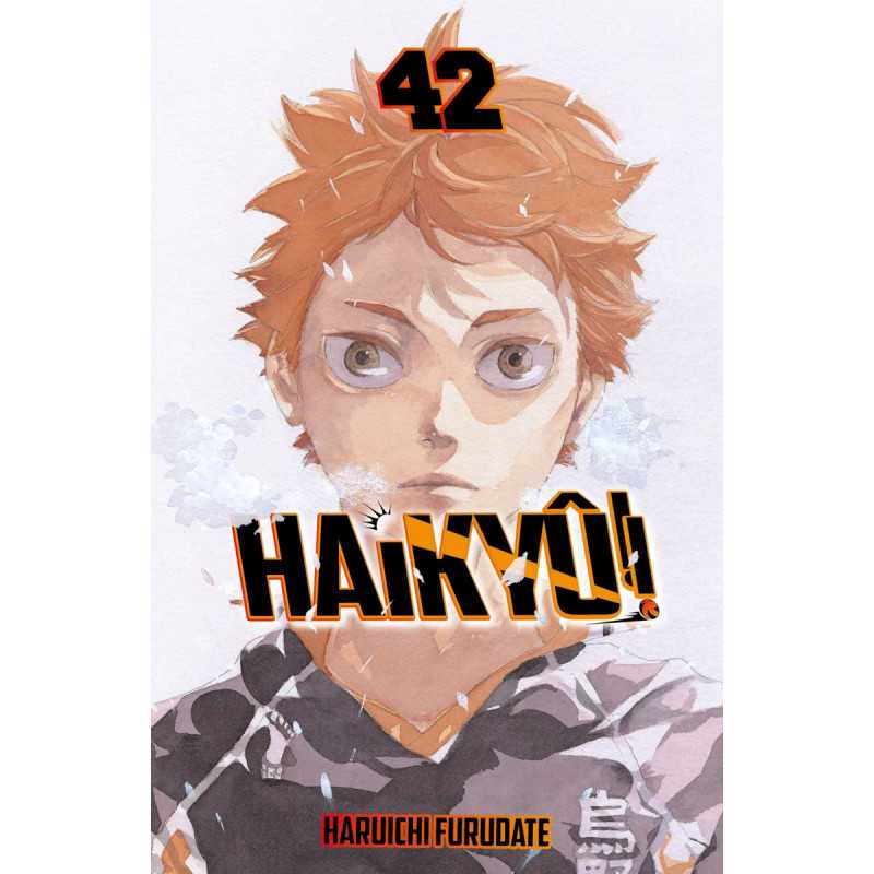 Haikyû 42/45