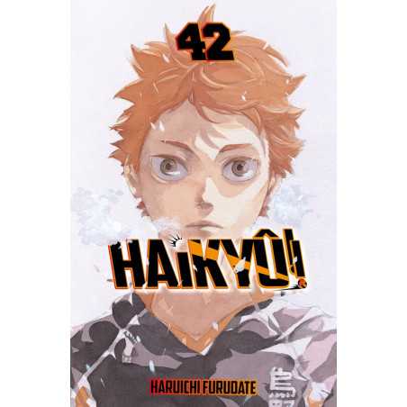 Haikyû 42/45