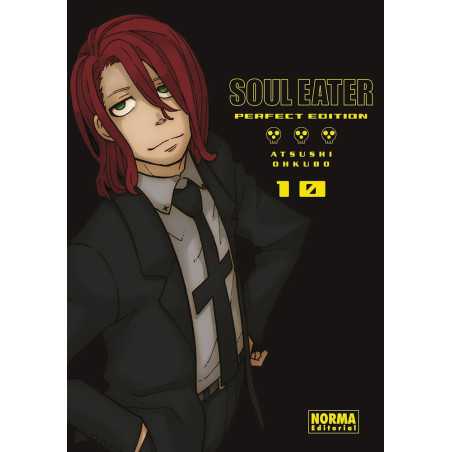 Soul Eater Perfect Edition 10
