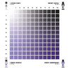 DUAL EXO SET 10 – 10A PURPURA NEBULOSA & 10B PURPURA ANDROMEDA AK1554