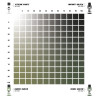 DUAL EXO SET 11 – 11A VERDE FANTASMA & 11B VERDE REBELDE AK1555