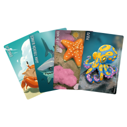 Splendor Kids