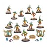 Equipo de Amazons de Blood Bowl: Kara Temple Harpies