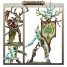 Vanguardia: Sylvaneth