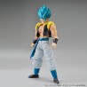 DRAGON BALL - Model Kit - Super Saiyan God Super Saiyan Gogeta