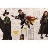 Imanes Set B Personajes Harry Potter