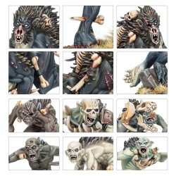 Warcry Fustigabestias Reales 112-16