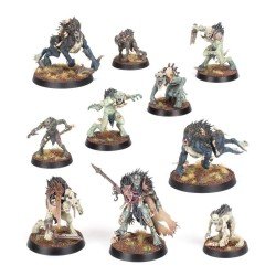 Warcry Fustigabestias Reales 112-16