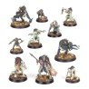 Warcry Fustigabestias Reales 112-16