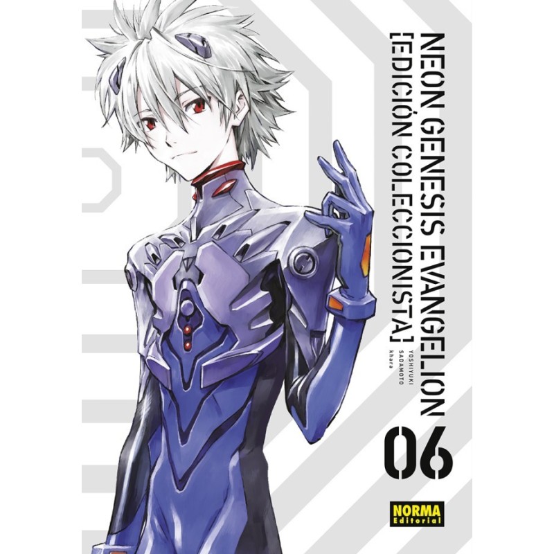 Neon Genesis Evangelion 6 (Edicion Coleccionista)