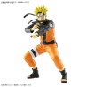 NARUTO - Entry Grade Uzumaki Naruto (3L) - Model Kit