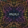 Amígdala