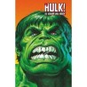 The Hulk 1: El color del odio (Edición limitada Marvel)