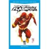 Flash: Rumbo a Flashpoint (DC Pocket)