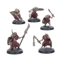 Warhammer Age of Sigmar: Set de Pinturas y Herramientas