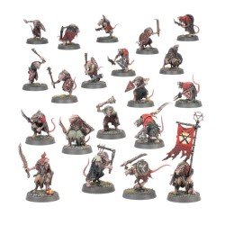 Warhammer Age of Sigmar: Set introductorio 80-15