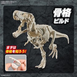 DINOSAUR - New Dinosaur Plastic Tyrannosaurus (Tentative) - Model Kit