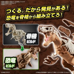 DINOSAUR - New Dinosaur Plastic Tyrannosaurus (Tentative) - Model Kit