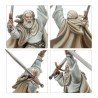 Gandalf™ the White and Peregrin Took™ 30-40