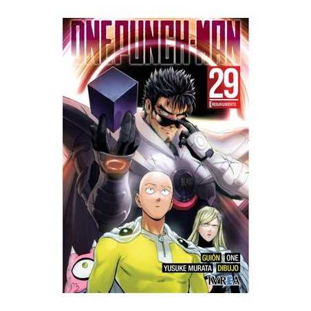 One Punch Man 29