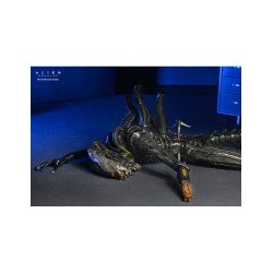 DELUXE SUSPENDED LAB XENOMORPH XX121 SCALE (Pre-venta: 13/05/2025)