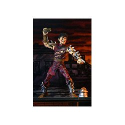 THE SHREDDER BATTLE DAMAGED CLASSIC COLORS