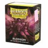 Dragon Shield Sleeves - Standard size - Matte Dual - Blossom (100 Sleeves)