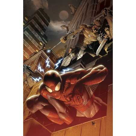 Predator Vs. Spiderman