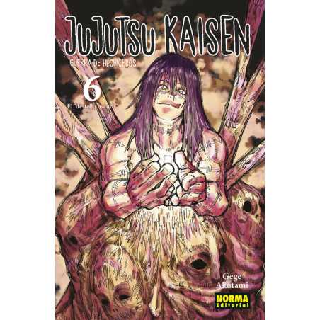 Jujutsu Kaisen 6