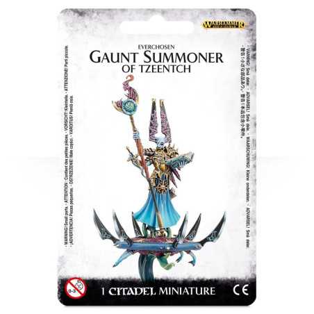 Invocador Lívido en Disco de Tzeentch