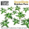 Plantas de Papel - Helechos Bracken