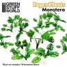 Plantas de Papel - Monstera