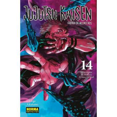 Jujutsu Kaisen 14