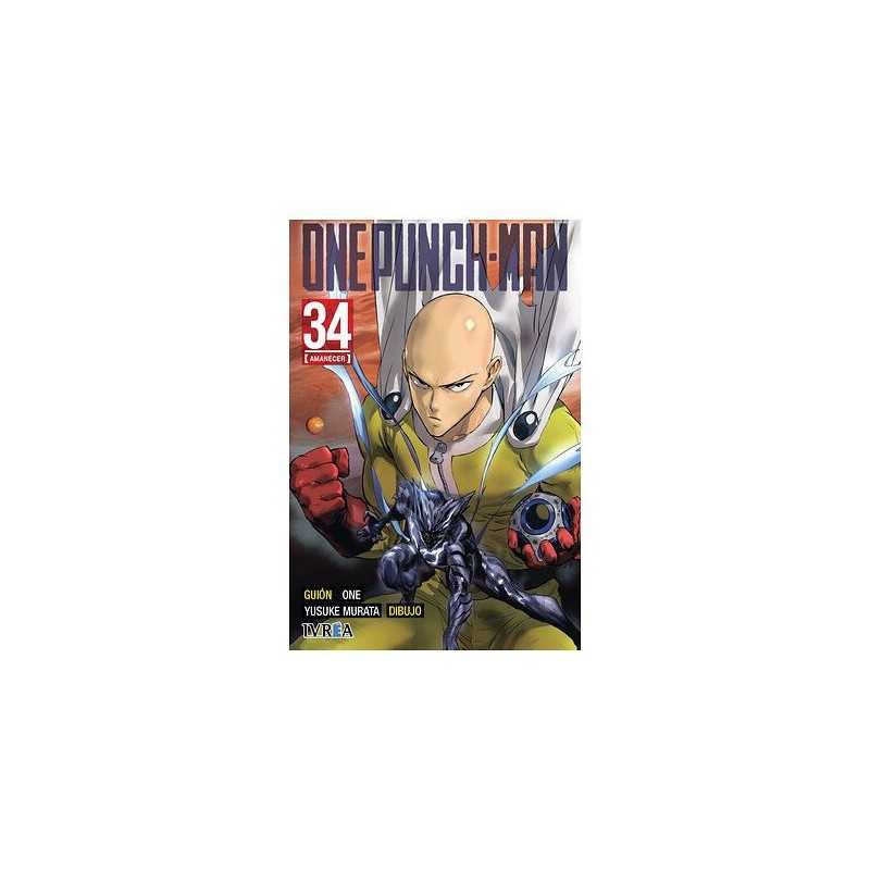 One Punch Man 34