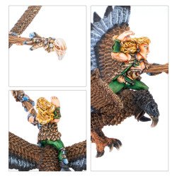 Wood Elf Mage on Warhawk