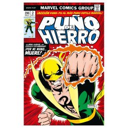 One Punch Man: Hero Perfection (Español)ComicsAtheneas Hobby S.L.