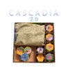 Inserto Compatible Con Cascadia 20 Base + Expansión Hitos