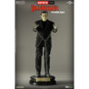Figura Articulada 1/6 Frankenstein Edición Estandar
